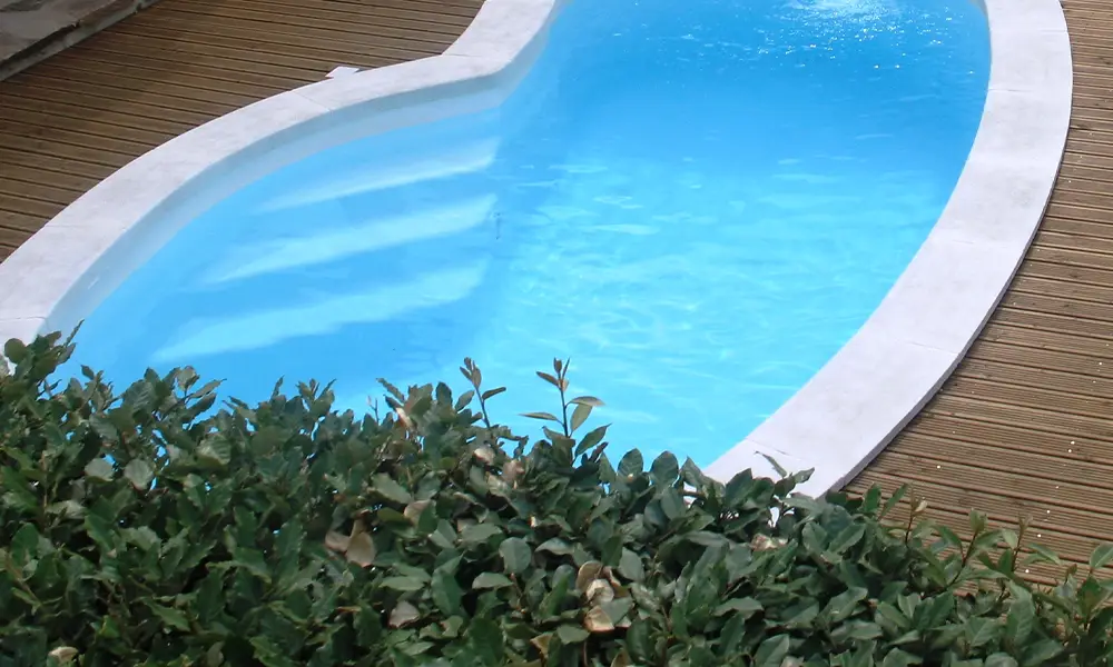 Piscine Roman Mdp